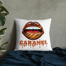 Load image into Gallery viewer, Premium Pillow
