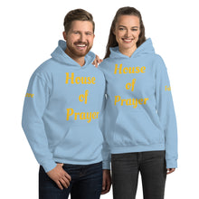 Load image into Gallery viewer, Unisex Hoodie