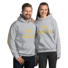 Load image into Gallery viewer, Unisex Hoodie